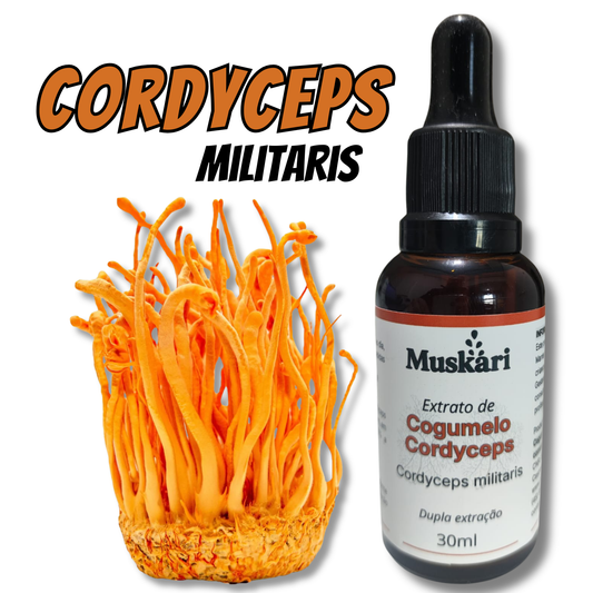 Extrato de cogumelo Cordyceps Militaris - 30ml