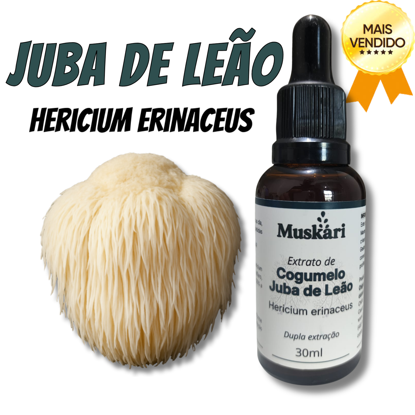 Extrato de cogumelo Juba de Leão - Hericium Erinaceus - 30ml