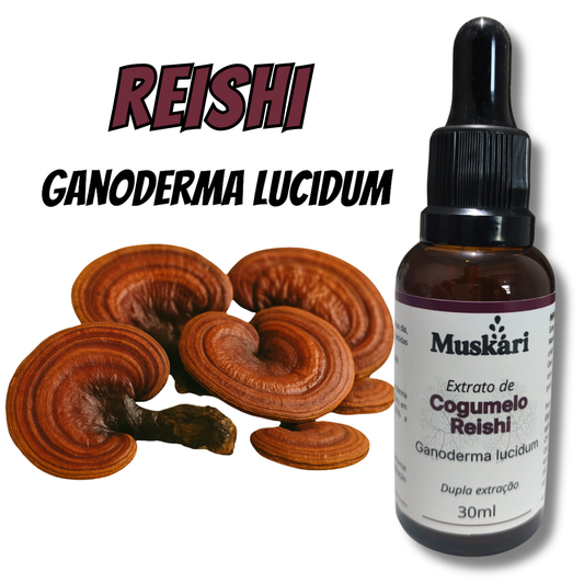 Extrato de cogumelo Reishi - Ganoderma Lucidum - 30ml