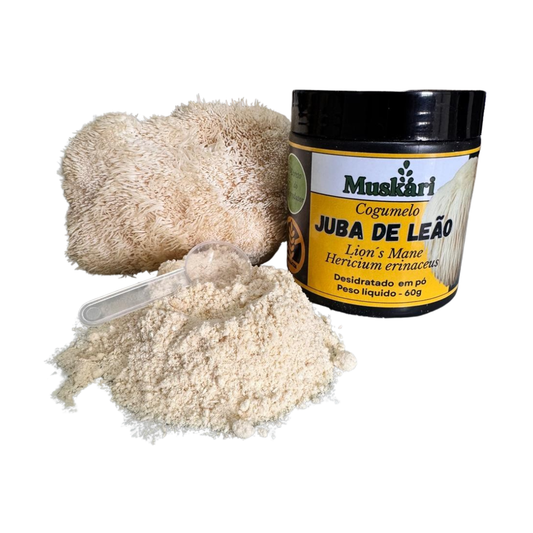 Juba de Leão em pó 60g – 100% cogumelo puro