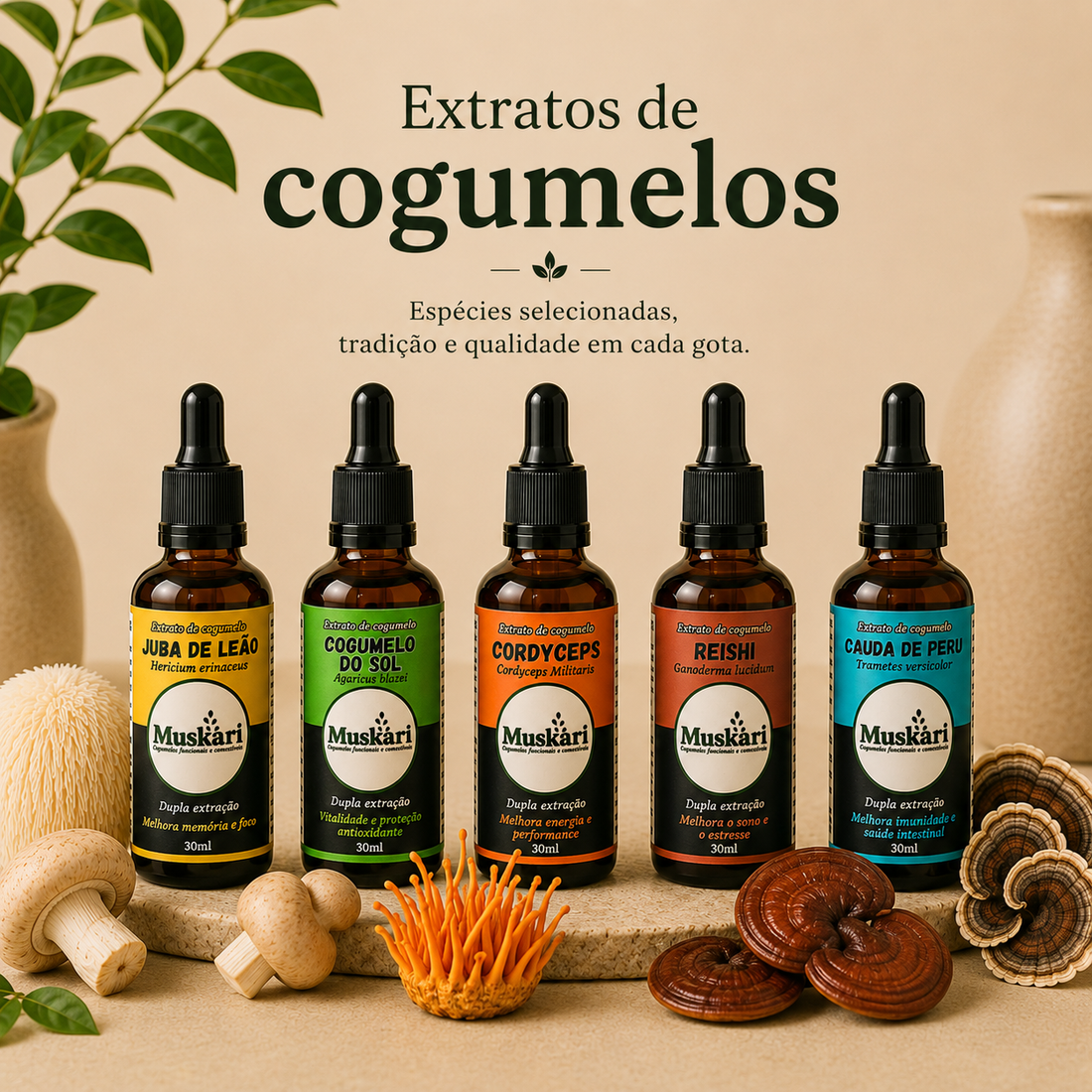 Extratos de cogumelos