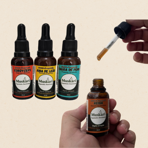 Extratos de cogumelos
