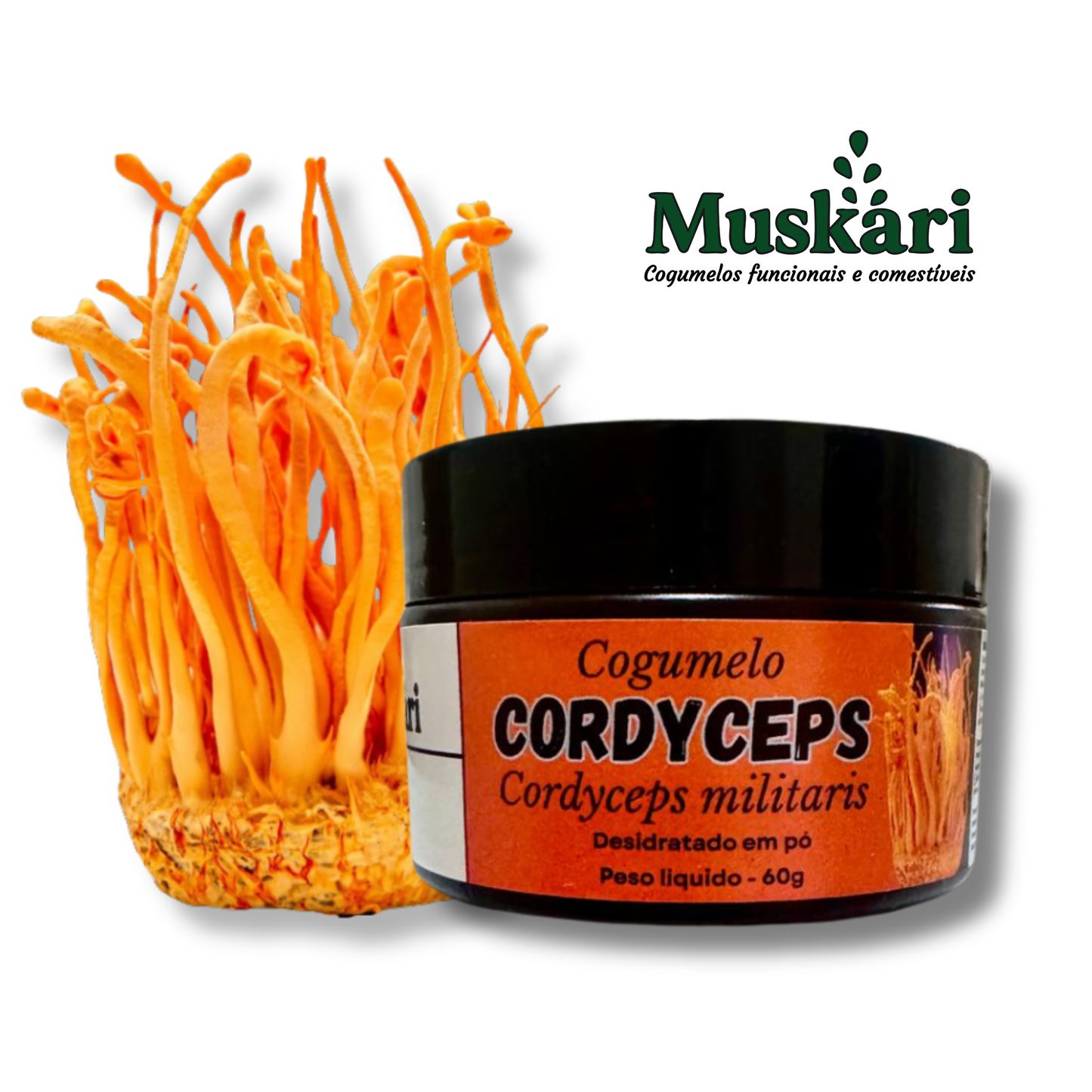 Cordyceps militaris em pó 60g - 100% cogumelo puro