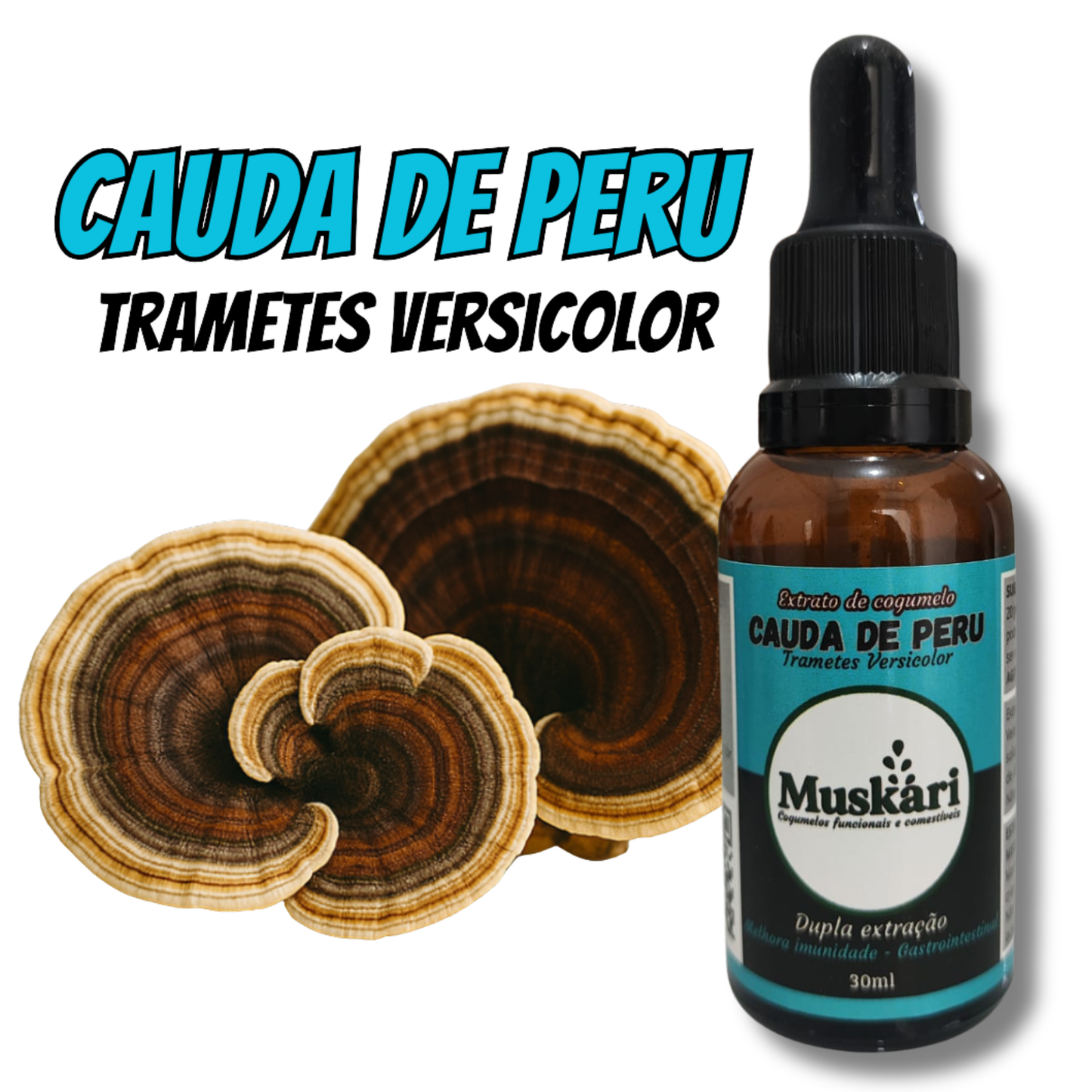 Monte seu combo com 04 (QUATRO) extratos à sua escolha com 15% off