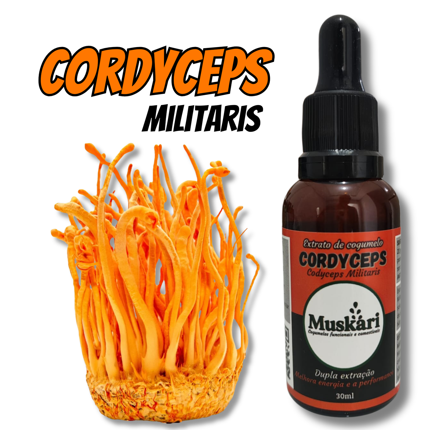 Monte seu combo com 04 (QUATRO) extratos à sua escolha com 15% off