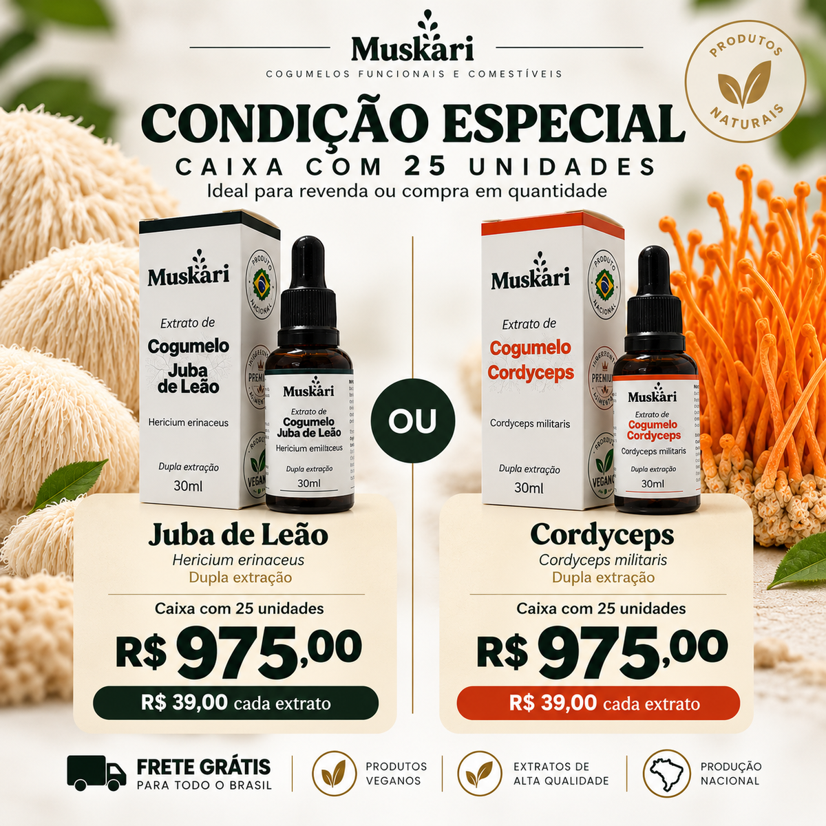 Kit 25 extratos Juba de Leão ou Cordyceps - Caixa fechada
