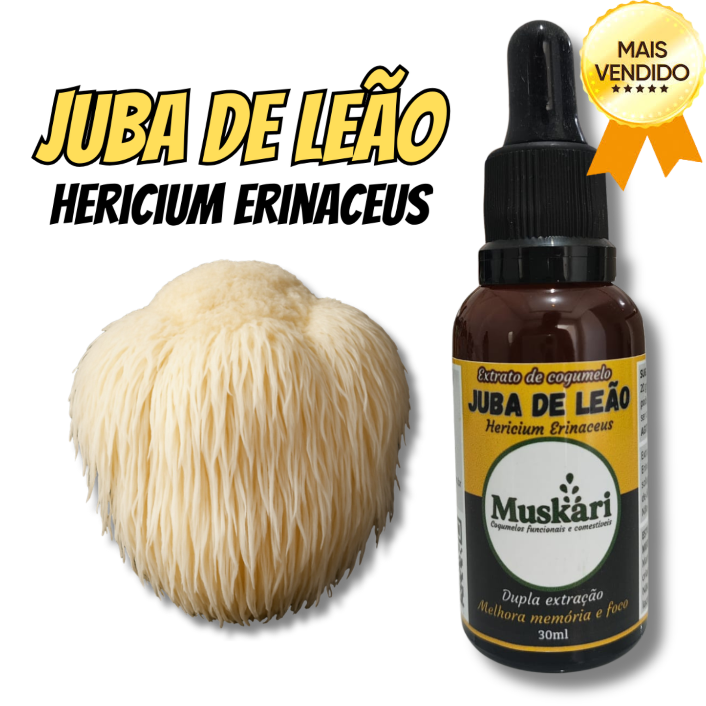 Extrato de cogumelo Juba de Leão - Hericium Erinaceus - 30ml