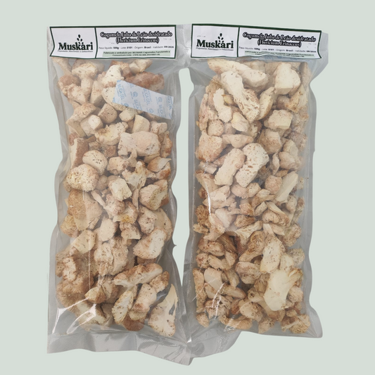 VALOR ATACADO SOB CONSULTA - Cogumelo Juba de Leão desidratado em pedaços 01 kg