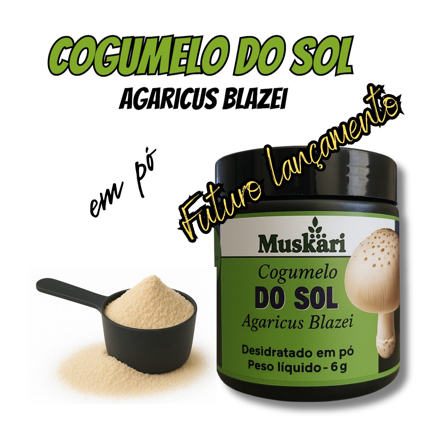 Cogumelo do Sol em pó 60g – 100% cogumelo puro